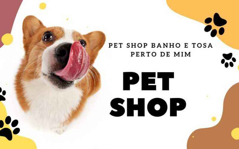 Pet Shop Banho e Tosa perto de mim