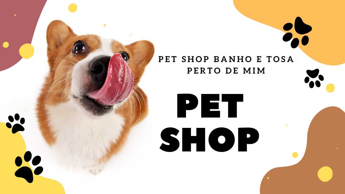 Pet Shop Banho e Tosa perto de mim - Como escolher o correto